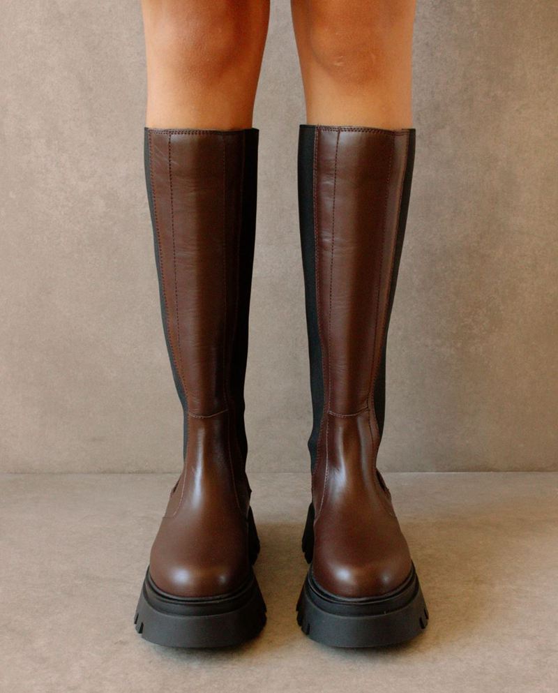 Bottes D'équitation Alohas Go Getter Cuir Marron Foncé Femme | RCG-19294338